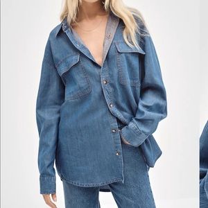 Aritzia Sade Denim Shirt